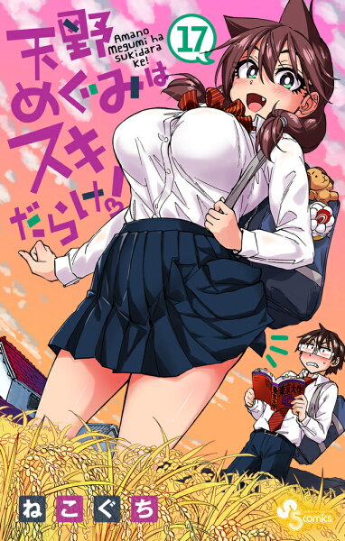 天野めぐみはスキだらけ！ 第17巻の表紙画像