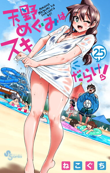 天野めぐみはスキだらけ！ 第25巻の表紙画像