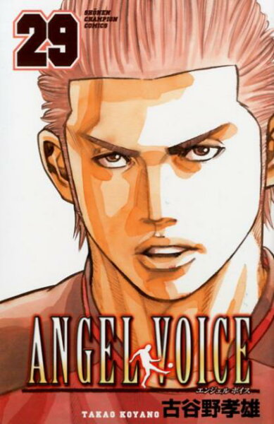 ANGEL VOICE 第29巻の表紙画像