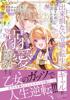 出来損ない令嬢に転生したギャルが見返すために努力した結果、溺愛されてますけど何か文句ある？ 第2巻の表紙画像