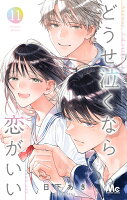 どうせ泣くなら恋がいい 第11巻の表紙画像