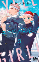 エールガール！ 第3巻の表紙画像