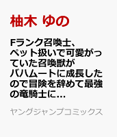 Fランク召喚士、ペット扱いで可愛がっていた召喚獣がバハムートに成長したので冒険を辞めて最強の竜騎士になる 第4巻の表紙画像