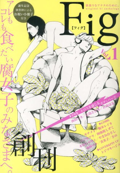 Fig（vol．1） 第1巻の表紙画像