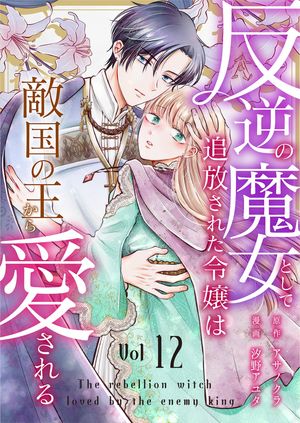 反逆の魔女として追放された令嬢は敵国の王から愛される 第12巻の表紙画像