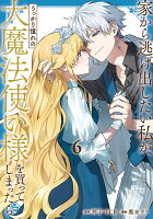 家から逃げ出したい私が、うっかり憧れの大魔法使い様を買ってしまったら（コミック） 第6巻の表紙画像