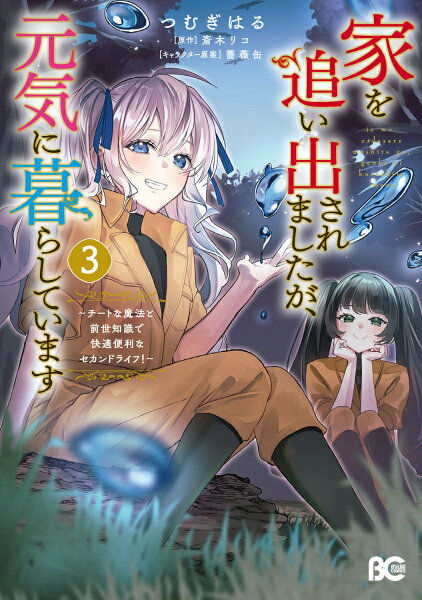 家を追い出されましたが、元気に暮らしています　〜チートな魔法と前世知識で快適便利なセカンドライフ！〜 第3巻の表紙画像