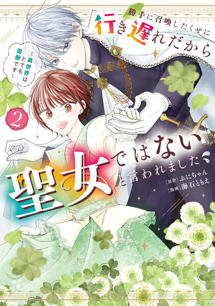 勝手に召喚したくせに「行き遅れだから聖女ではない」と言われました　〜異世界はとても面倒です〜 第2巻の表紙画像