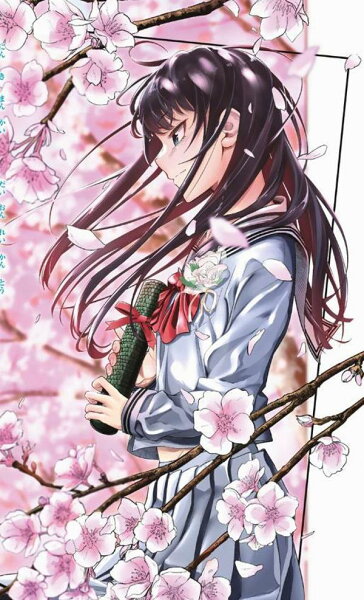 ドラハチ 第2巻の表紙画像