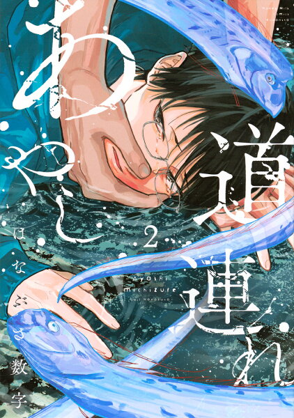 あやし道連れ 第2巻の表紙画像