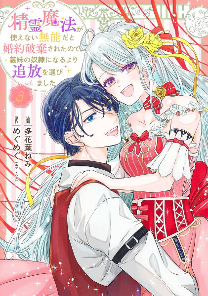 精霊魔法が使えない無能だと婚約破棄されたので、義妹の奴隷になるより追放を選びました 第3巻の表紙画像