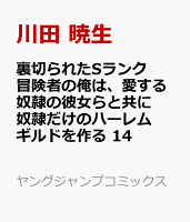 裏切られたSランク冒険者の俺は、愛する奴隷の彼女らと共に奴隷だけのハーレムギルドを作る 第14巻の表紙画像