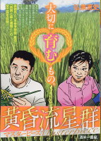 My　First　BIG　SPECIAL 黄昏流星群マスターピース　酒米一番星の表紙画像