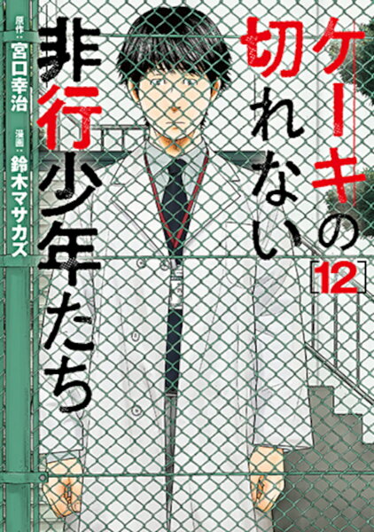 ケーキの切れない非行少年たち 第12巻の表紙画像