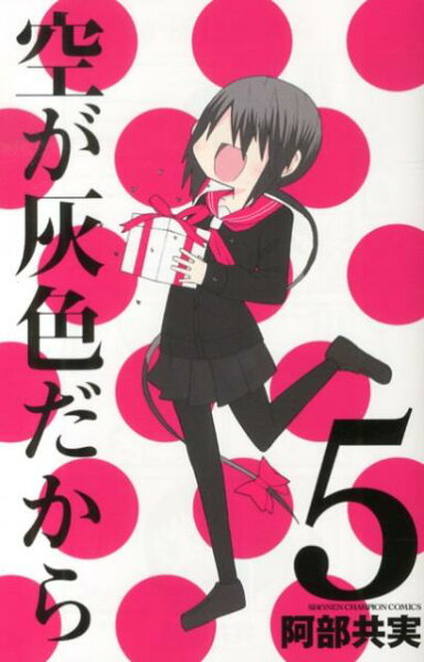 空が灰色だから 第5巻の表紙画像