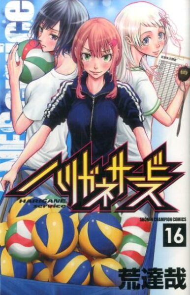 ハリガネサービス 第16巻の表紙画像