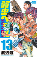 弱虫ペダル　SPARE　BIKE 第13巻の表紙画像