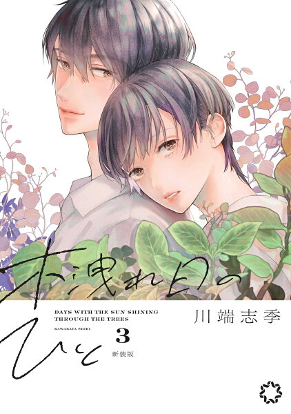 木洩れ日のひと 新装版 第3巻の表紙画像