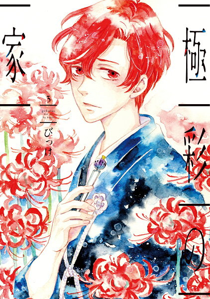 極彩の家 第3巻の表紙画像