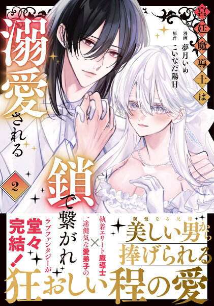 宮廷魔導士は鎖で繋がれ溺愛される 第2巻の表紙画像
