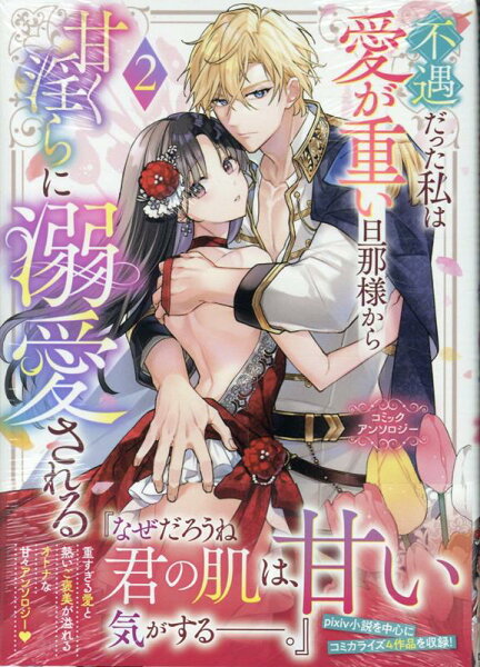 comic LAKE 第2巻の表紙画像