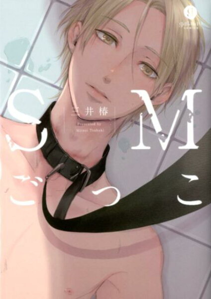 SMごっこ SMごっこの表紙画像