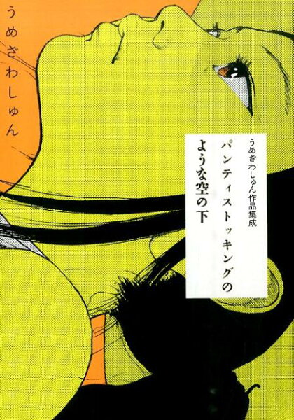 パンティストッキングのような空の下 パンティストッキングのような空の下の表紙画像