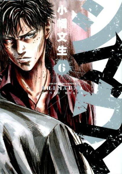 シマウマ 第6巻の表紙画像