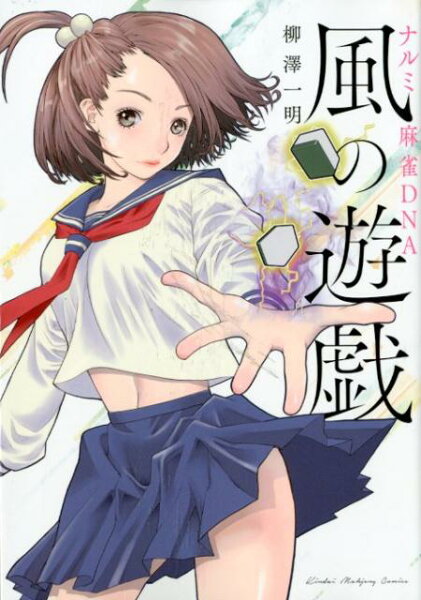 風の遊戯 風の遊戯の表紙画像