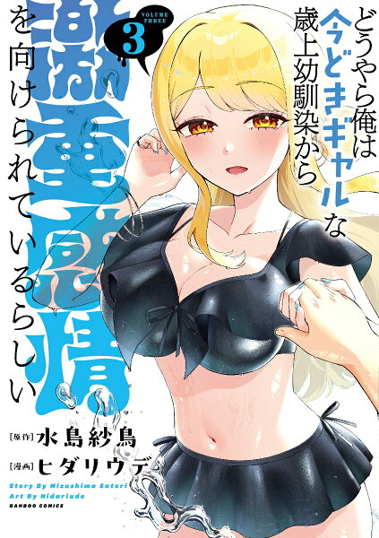 どうやら俺は今どきギャルな歳上幼馴染から激重感情を向けられているらしい 第3巻の表紙画像
