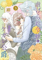 虐げられ令嬢とケガレ公爵〜そのケガレ、払ってみせます！〜 第3巻の表紙画像