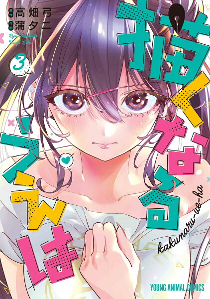 描くなるうえは 第3巻の表紙画像