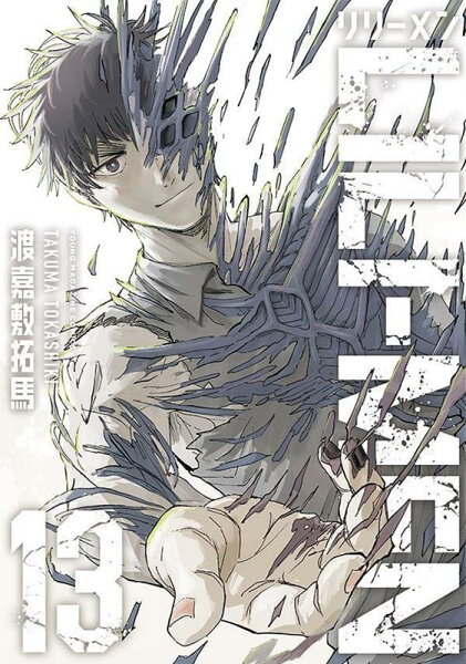 LILI-MEN 第13巻の表紙画像