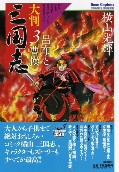 大判　三国志 第3巻の表紙画像