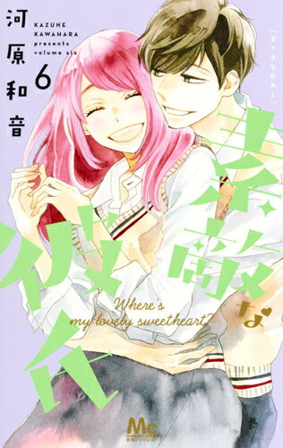 素敵な彼氏 第6巻の表紙画像