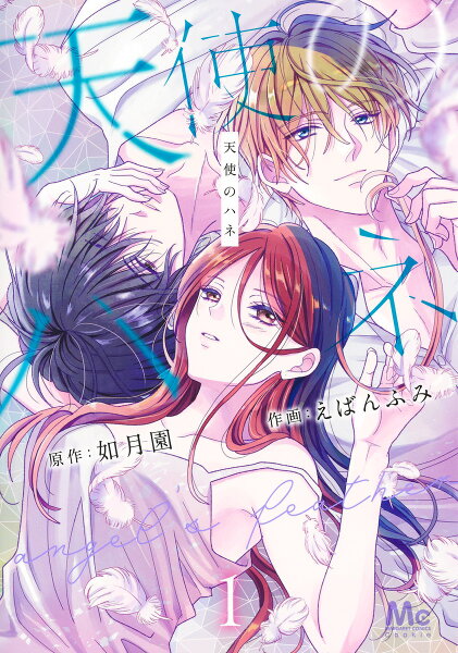 天使のハネ 第1巻の表紙画像
