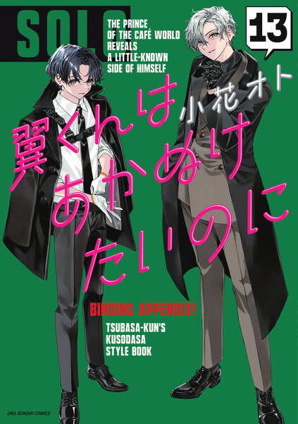 翼くんはあかぬけたいのに 第13巻の表紙画像
