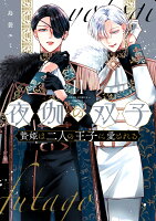 夜伽の双子ー贄姫は二人の王子に愛されるー 第11巻の表紙画像