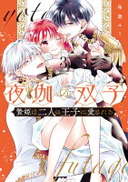 夜伽の双子ー贄姫は二人の王子に愛されるー 第3巻の表紙画像