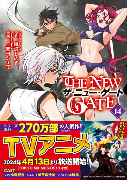 THE NEW GATE 第14巻の表紙画像